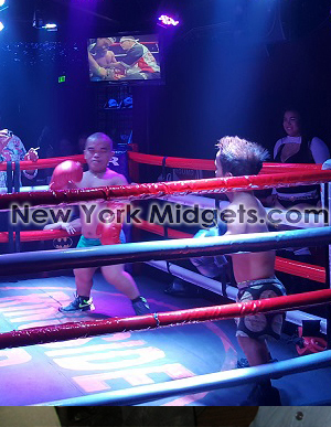 Midget Boxing